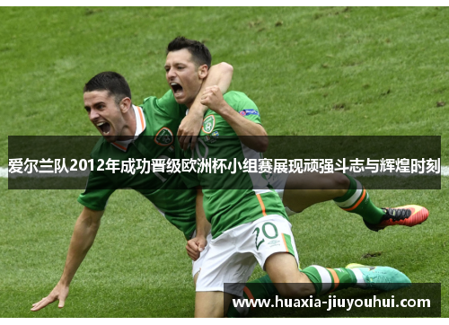 爱尔兰队2012年成功晋级欧洲杯小组赛展现顽强斗志与辉煌时刻